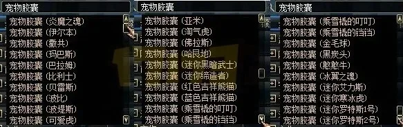 DNF拍卖行宠物名望与属性全面解析